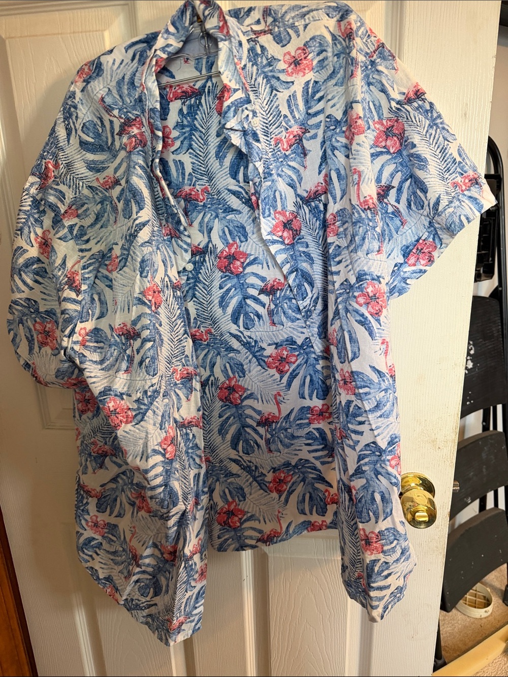 Izod Blue & Pink Tropical Print Button-Down Shirt